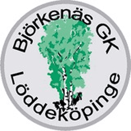 Björkenäs Golfklubb club logo